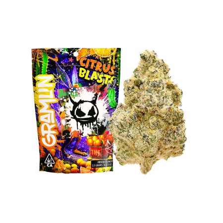 Citrus Blast | Indoor