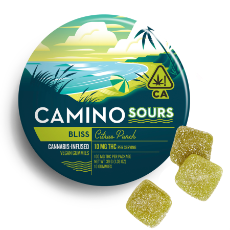 CITRUS PUNCH CAMINO SOURS