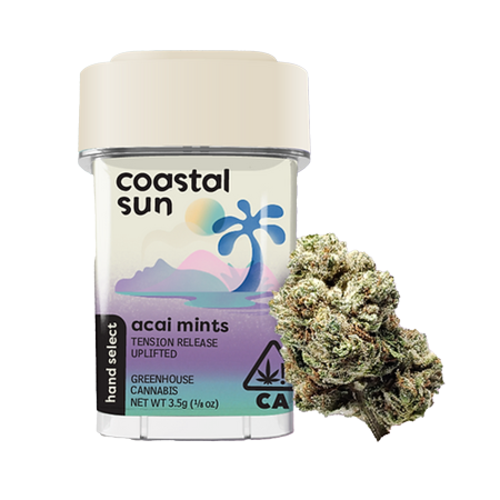 Coastal Sun Flower - Acai Mints 3.5g