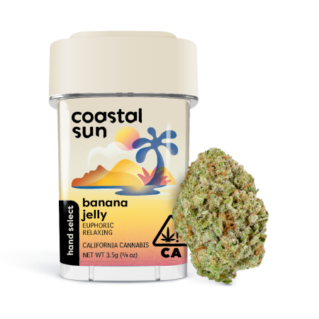 Coastal Sun Flower - Banana Jelly 3.5g