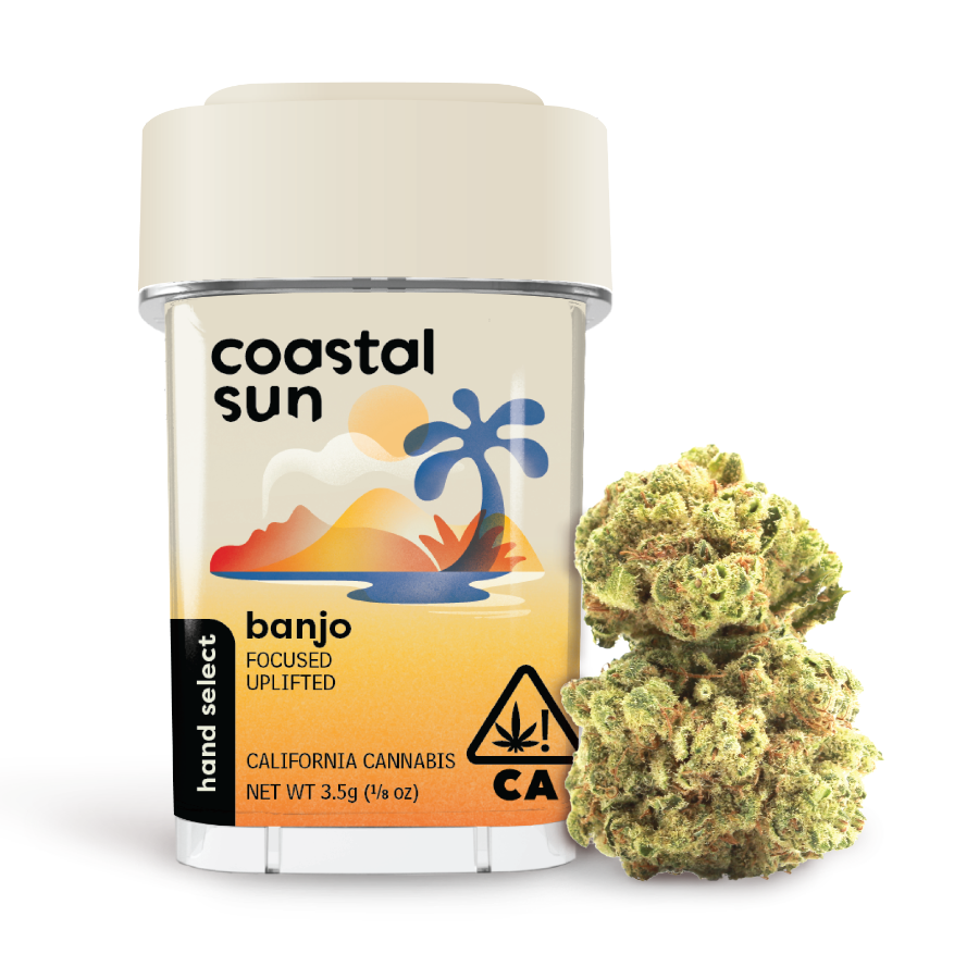 Coastal Sun Flower - Banjo 3.5g