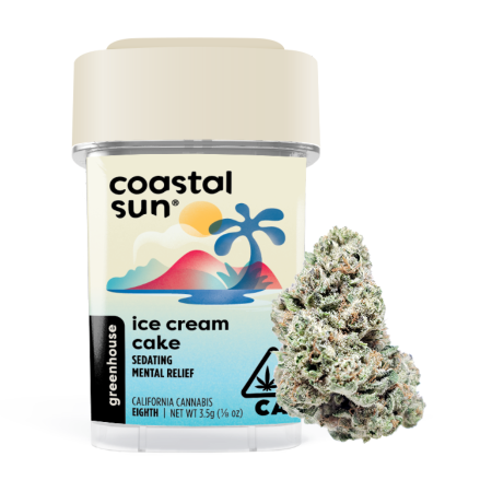 Coastal Sun Flower - Ice Cream Cake 3.5g