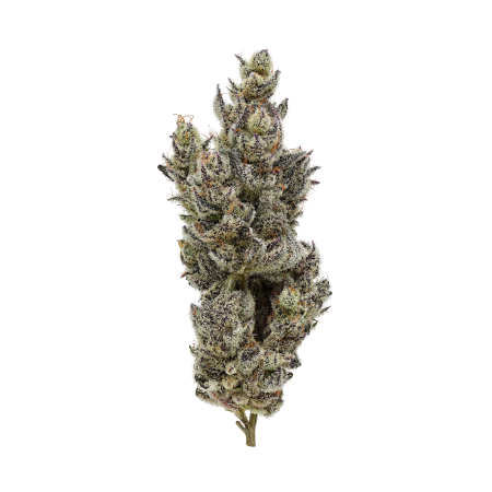 Fig Farms Flower - Holy Moly! 3.5g