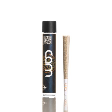 BISCOTTI BX1 1G