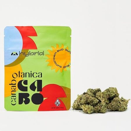 Street Tarts | Outdoor